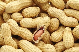La théorie des Cacahuètes par Fabien Velhmann